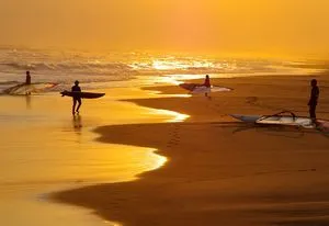 Toate formarea undei de surfing în ocean, vederi, caracteristici, terminologie, video