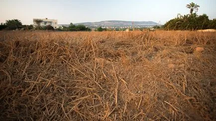 Elhagyott hajó közelében pátosz