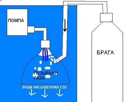 Vreau erborizator - Cum să acționeze