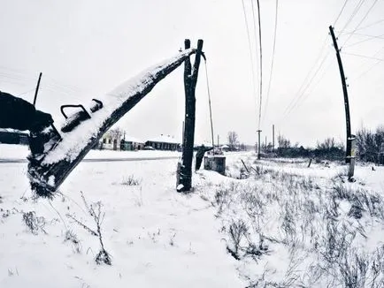 Bölény az Oka Reserve ryazasnkoy terület Brikin Bor