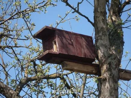 Garden защита срещу зайци, резултатите от търсенето, appyapm