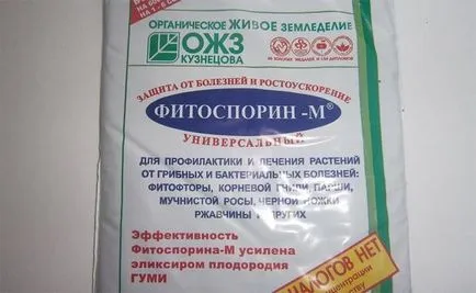 Среща с фунгициди - препарати за борба с болести по растенията