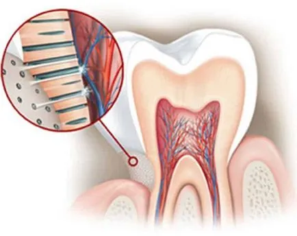 Tooth reagál a hideg és meleg oka, mit kell tenni