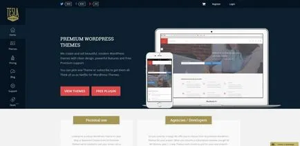 10 cadre Premium pentru crearea WordPress