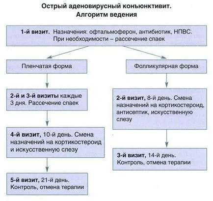 Simptome adenovirali și tratament sicca cheratoconjunctivita pentru adulți și copii, și complicații acute,