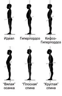 Anatomiyaprakticheskaya работа № 7