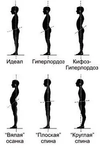 Anatomiyaprakticheskaya munka № 7