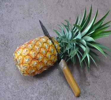 Ananas pe pervazul ferestrei