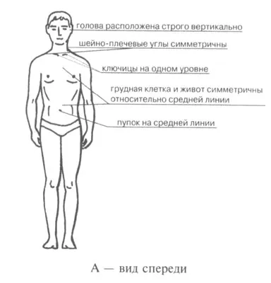 Anatomiyaprakticheskaya munka № 7