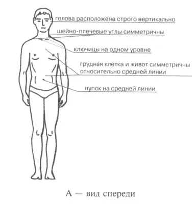 Anatomiyaprakticheskaya работа № 7