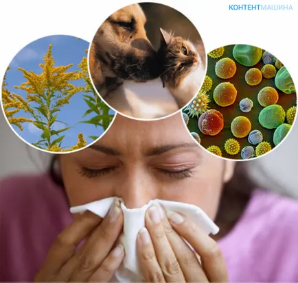 rinita alergica si simptomele strănut și tratamentul congestiei nazale