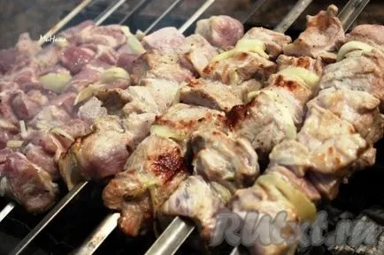 Ceapă murate rapidă pentru un kebab shish