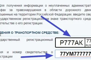 Серия и номер на регистрация на автомобил