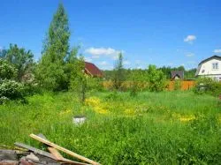 Какво и къде е възможно да се изгради на парцели в партньорството между градина