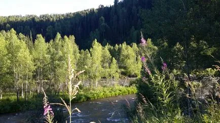 Да не се пие чай - когато вземат властта, съобщи порталът на Казахстан литър