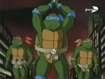 Testoasele Ninja (1987 - 1996 ani