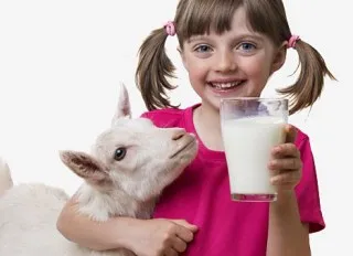 Ce trebuie să știți despre beneficiile de lapte de capră pentru copii