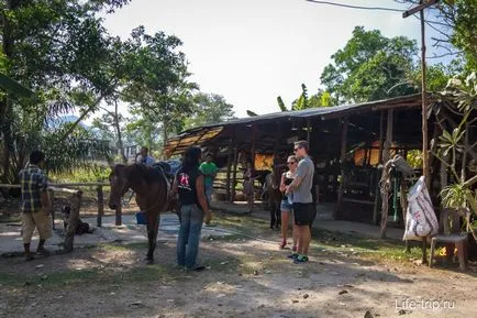 Ce să vezi în Ao Nang și Krabi, precum și o listă de atracții