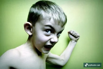 Детска агресия - първите признаци на развитие, лечение, борбата