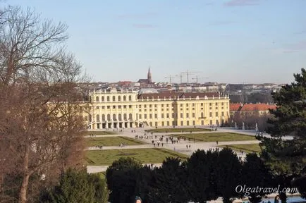 Atracții vein Palace