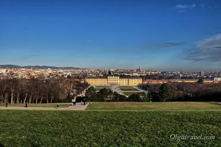 Atracții vein Palace