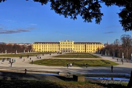 Atracții vein Palace