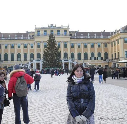 Atracții vein Palace