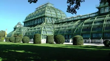 istorie Palatul Schönbrunn, fotografii, informații despre cum să obțineți
