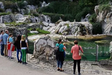 Schönbrunn palota története, fotók, információk, hogyan lehet