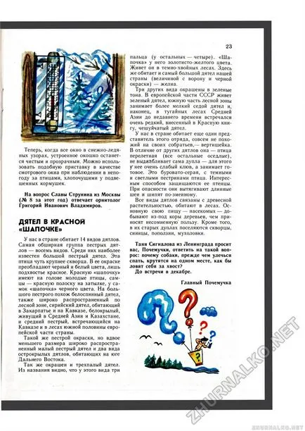 Ciocănitoarea în roșu „cap“ - un naturalist tânăr, 1988-1911, pagina 25