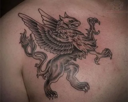 Fotografii și tatuaj valoare grifon