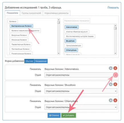 Formarea unui document pentru diagnosticarea bolilor probelor compozite