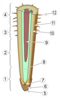 Hydroponics, egy könyvtár