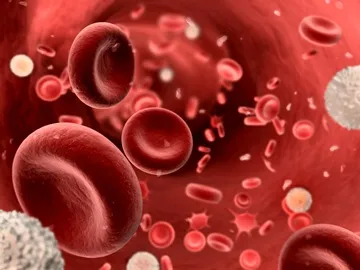 Rata Hemoglobina a bărbaților în sânge