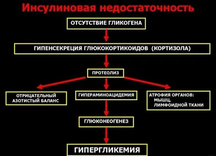 Хипергликемична кома първа помощ, симптоми алгоритъм