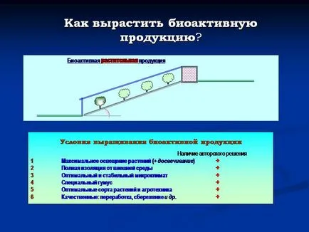 seră solară, cu efect de seră solare moderne, vegetary, sere desene, dezvoltarea documentației