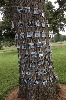 Az ötlet az esküvői dekoráció clothespins