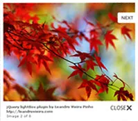 Jquery plugin lightbox;