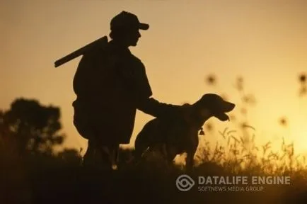 Hogyan vadásznak a kutya siketfajd