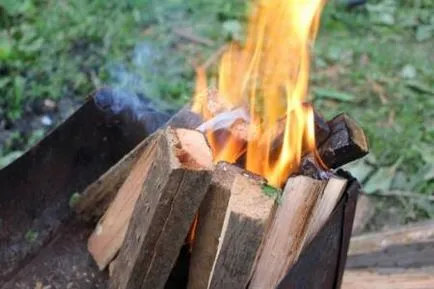 Hogyan megsütjük egy shish kebab - quaer