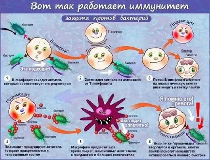 Как да се увеличи имунитета на детето след заболяване