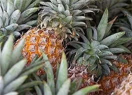 Cum pot verifica gradul de coacere de ananas