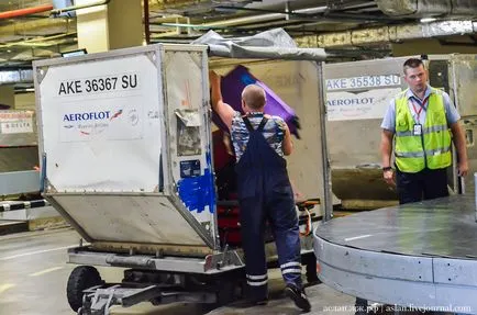 Hogyan működik a repülőtér Sheremetyevo 1