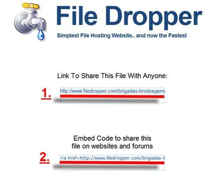 Като просто прехвърляне на големи файлове файл капкомер, за да Ви помогнем! 25 сеп 2011