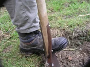 Cum sa faci o grotă în grădină, cu propriile sale mâini, diagrame, fotografii, o grădină de plante