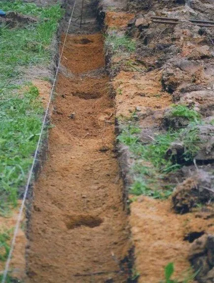 Cum de a face un gard frumos ieftin ondulat ghid de mâini proprii, fotografii și prețul -uroki