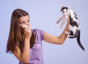 Sunt alergic la simptome scuamele de animale și tratamentul bolii