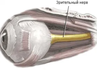 Атрофия на зрителния нерв симптоми на частична и пълна, спускащи атрофия, особено при децата,