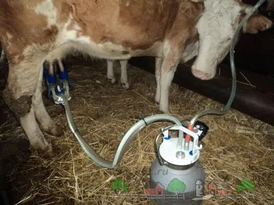 Апарати за доене на крави