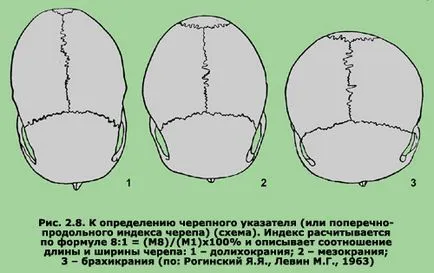 Antropometriai jelek - studopediya